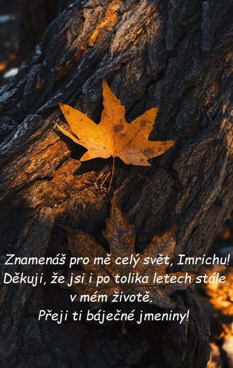 Žlutý javorový list ležící na kmeni stromu s přáním báječných jmenin Imrichovi. 