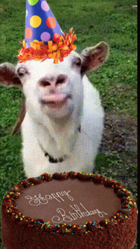 GIF blahopřání k svátku s bláznivou kozou.