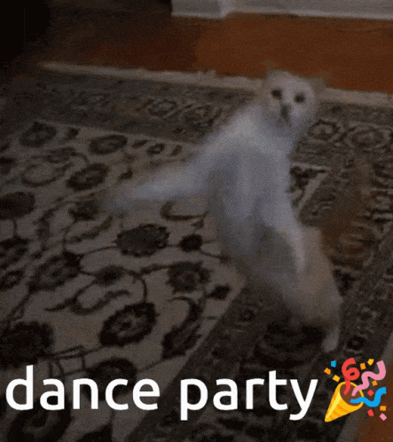 GIF gratulace k jmeninám s vesele tančící kočkou.