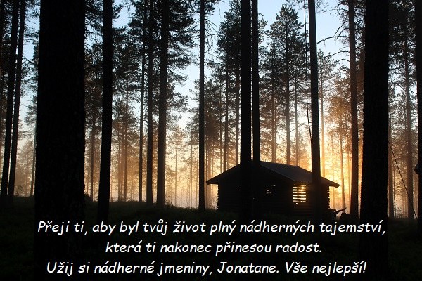 Přání k svátku Jonatanovi na pozadí temného lesa s krmelcem s jemnou sluneční září.