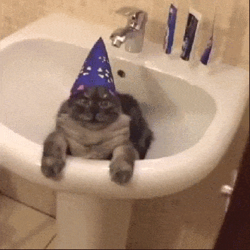 GIF přání kočky v umyvadle s party čepicí. 
