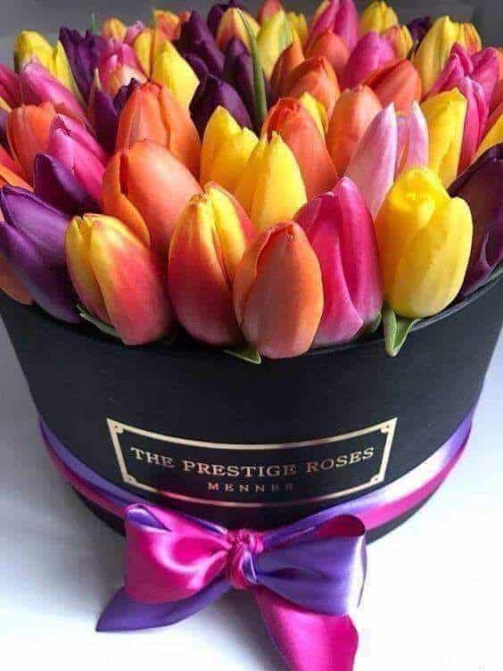 Barevné tulipány v dárkové krabici se stužkou. 