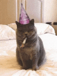 GIF gratulace kočka s party čepicí. 