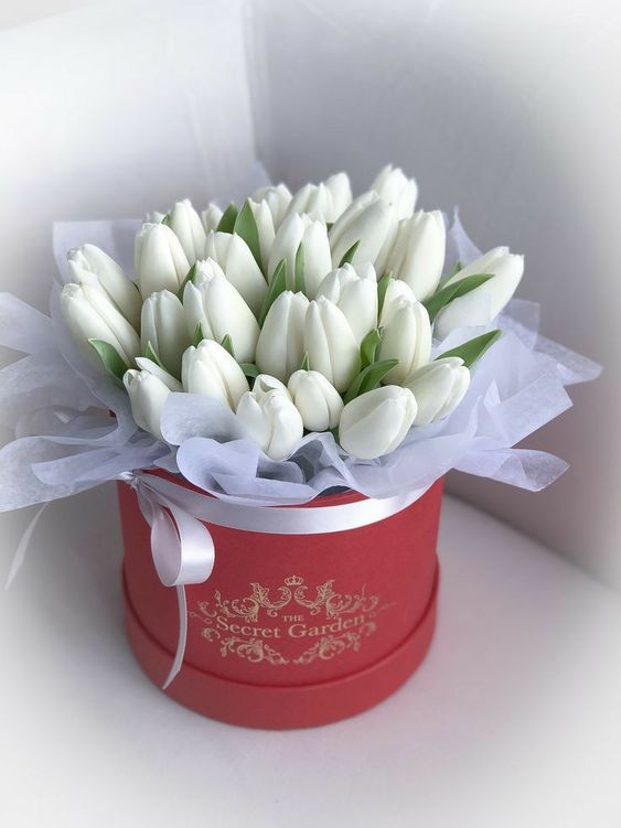 Dárková kytice bílých tulipánů k svátku. 