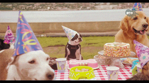 GIF blahopřání k svátku psí oslava. 