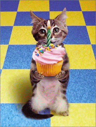 GIF přání k svátku koťátko a cupcake. 
