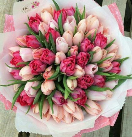 Velká kytice barevných tulipánů k svátku. 