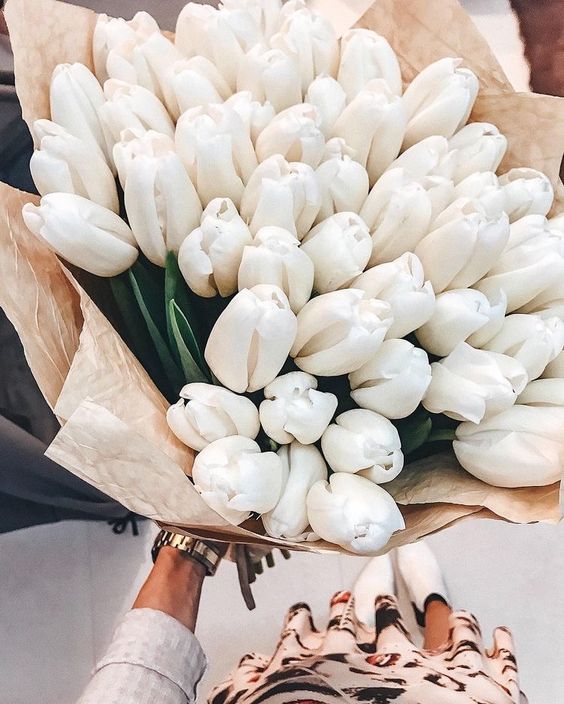 Dárkový kytice bílých tulipánů k svátku. 