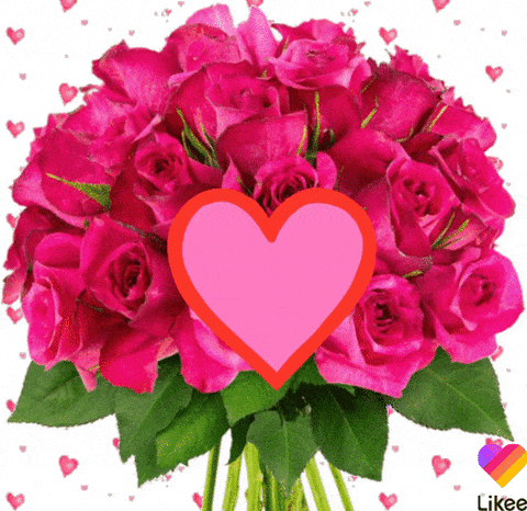 GIF přání k jmeninám s kyticí růží a vzkazem.