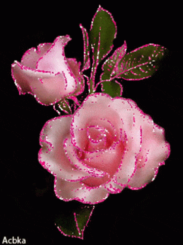 GIF přání k svátku s růžemi.