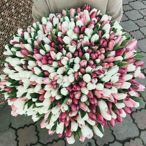 Dárková kytice barevných tulipánů k svátku. 
