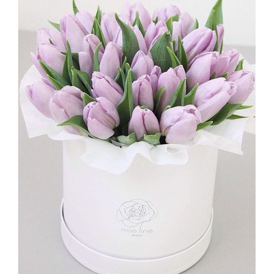 Tulipány k svátku v bílé krabici. 