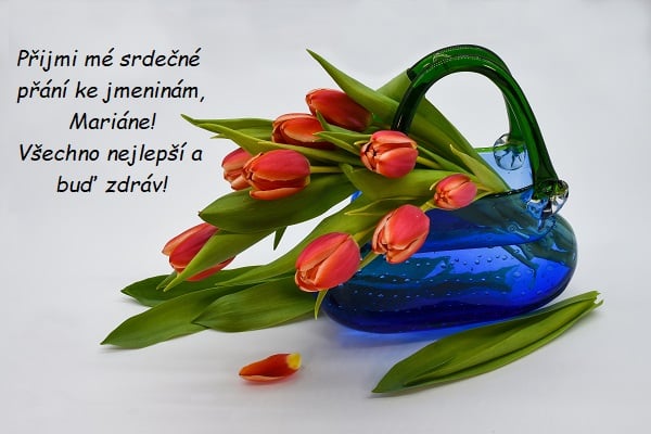 Přání k svátku Mariánovi na pozadí modré skleněné vázy plné tulipánů. 
