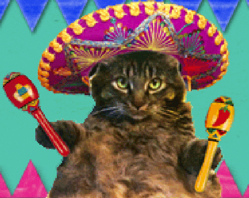 GIF blahopřání k svátku party kočka s mexickým kloboukem na hlavě. 