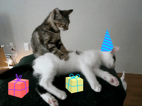 GIF přání k svátku s kočkama. 