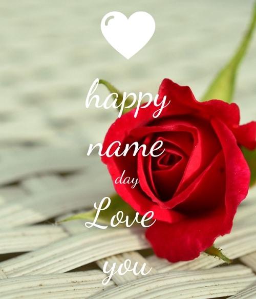 Červená růže s nápisem Happy name day Love you.