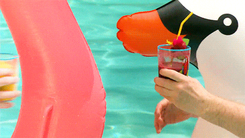 GIF přání k svátku s lidmi dávající si přípitek v bazénu.