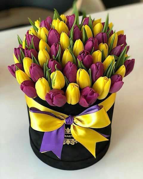 Dárková krabice žlutých a nachových tulipánů k svátku. 