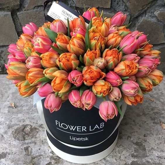 Růžovo oranžové tulipány k svátku v černé dárkové krabici. 
