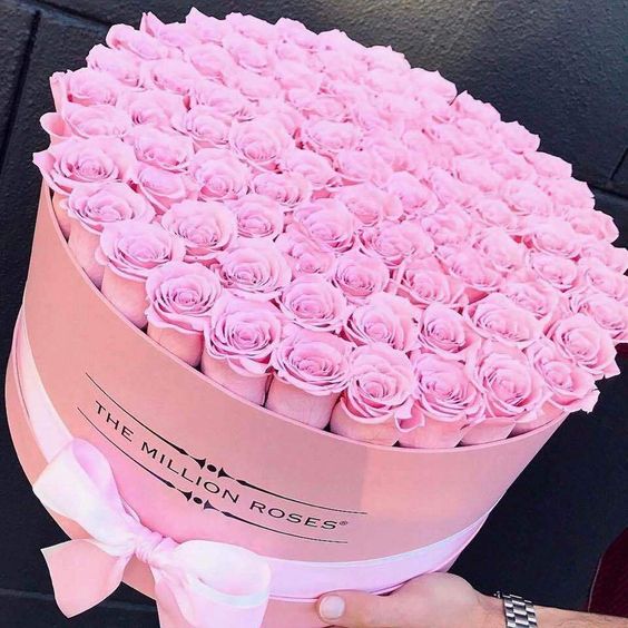 Růžová dárková krabice k svátku plná růžových růží. 
