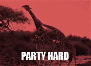 GIF přání k svátku party žirafy. 