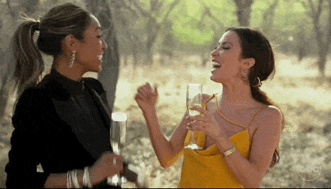 GIF blahopřání k jmeninám dvě holky si připíjí s šampaňským. 