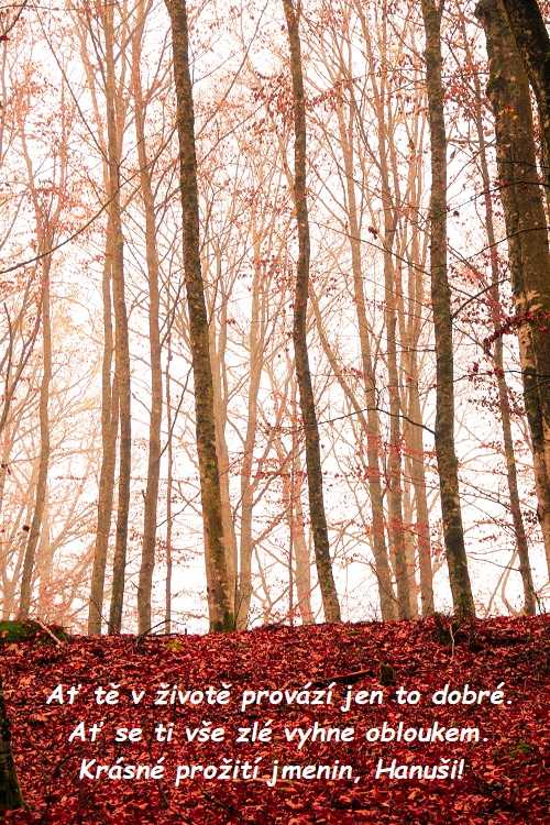 Gratulace ke jmeninám Hanušovi na pozadí lesa se spadaným červeným listím. 