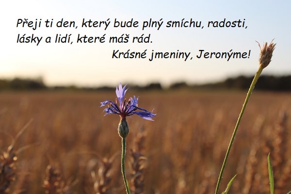 Fialová květina na pozadí pole s přáním krásných jmenin Jeronýmovi. 