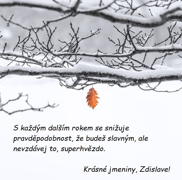 Přání krásných jmenin Zdislavovi na pozadí zasněžené krajiny s větvemi a jedním hnědým visícím listem.