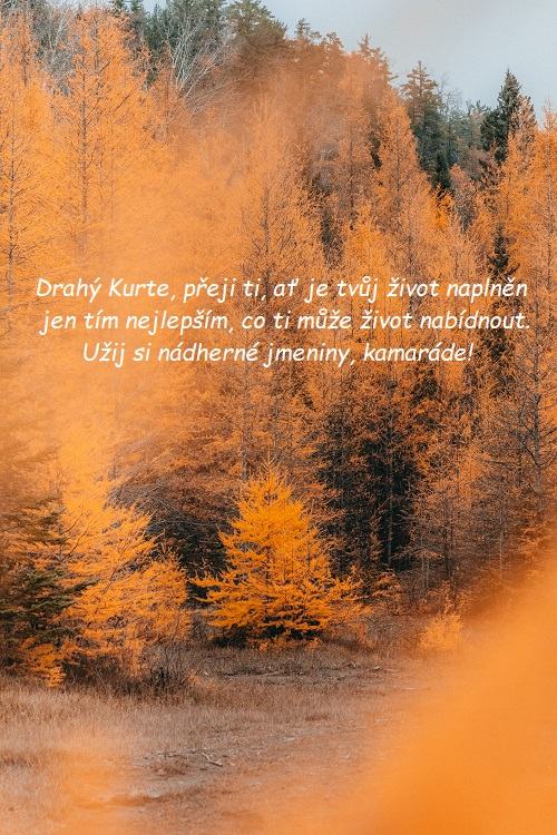 Oranžově zbarvený smíšený les s přáním ke jmeninám Kurtovi.