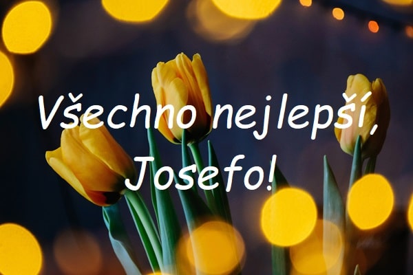 Nápis "Všechno nejlepší, Josefo!" na pozadí žlutých tulipánů a žlutých světýlek.
