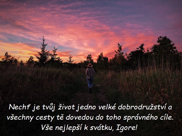 Žena, jdoucí polní cestou, směrem k lesu při západu slunce s přáním k svátku Igorovi. 