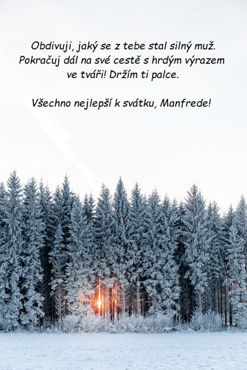 Zasněžený jehličnatý les, kde skrze stromy pronikají sluneční paprsky s přáníčkem k svátku pro Manfreda.