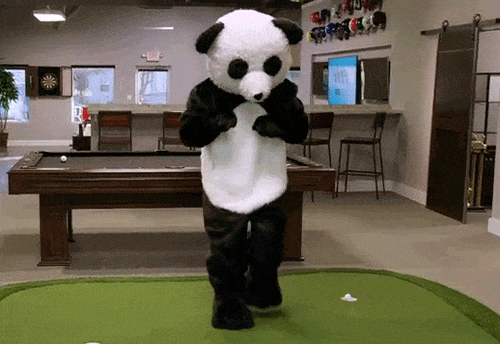 GIF přáníčko k jmeninám s tančící pandou