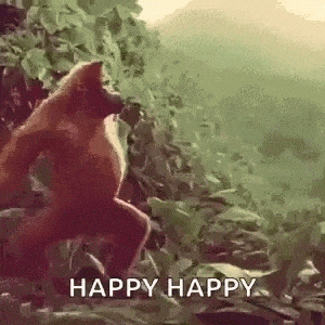 Tančící opička přející Hedvice nádherný svátek.