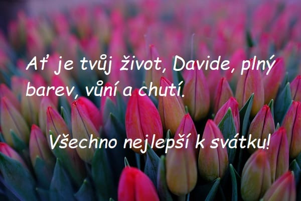 Růžové zavřené tulipány s přáním všeho nejlepšího k svátku Davidovi. 