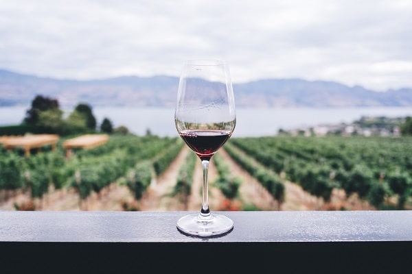 Sklenice s červeným vínem na pozadí vinic