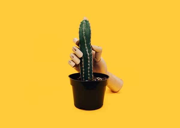 Umělohmotná ruka držící kaktus v květináči
