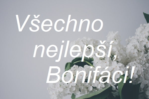 Nápis "Všechno nejlepší, Bonifáci!" na pozadí bílé květiny.