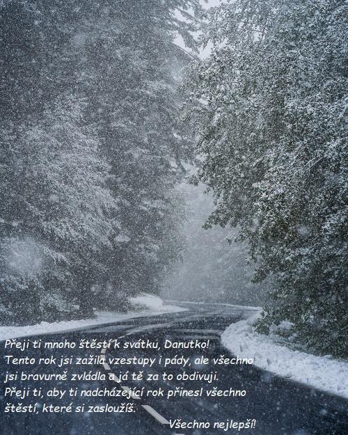 Cesta vedoucí lesem s padajícím sněhem a přáním k svátku Danutě.
