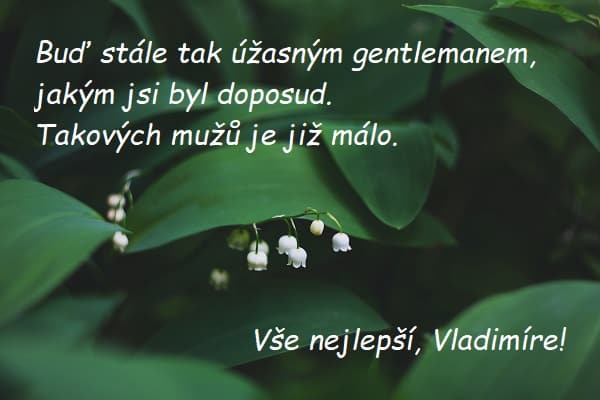 Zelené listy s květy konvalinek a přáním všeho nejlepšího Vladimírovi.