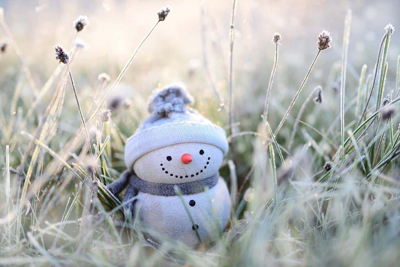 Malý sněhulák uprostřed zmrzlé trávy.