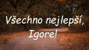 Nápis "Všechno nejlepší, Igore!" na pozadí lesní cesty, lemované spadaným listím.