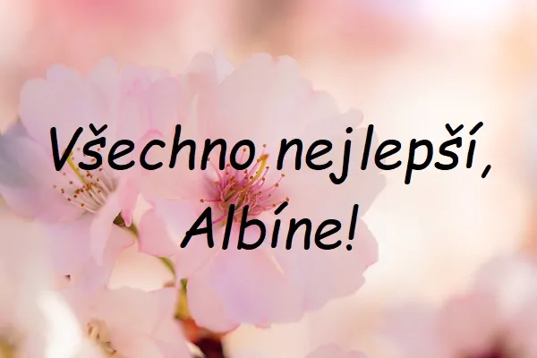 Nápis "Všechno nejlepší, Albíne!" na pozadí detailu na květ třešně na stromě.